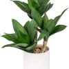 61hRChF2dhL._AC_SL1500 Large Artificial Succulent Plants Fake Three-Head Agave Succulent Plant Potted 15" Faux Plant in White Pot Succulent Aloe Plant Indoor for Desk Modern Home Office Living Room Table Shelf Decor