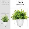 61icCPtTUaL._AC_SL1500 rtificial Potted Plants Mini Fake Plants in Pots, 4 Pack Medium Eucalyptus Potted Faux Decorative Grass Plant with White Plastic Pot for Home Decor, Indoor, Office, Desk, Table Decoration