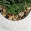 Faux Plant Indoor in Ceramic Pot 13" Artificial Potted Fern Fake House Plants for Desk Office Bathroom Garden Decoration