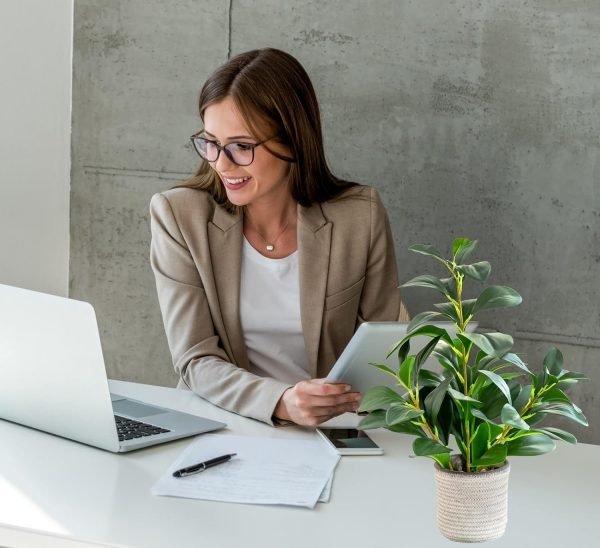 16 inch Artificial Indoor Plants Office Desk Faux Plant Peperomia Leaf Ficus Plant Realistic Small Fake Farmhouse Plants for Home Kitchen Bathroom Bedroom Evergreen Decor