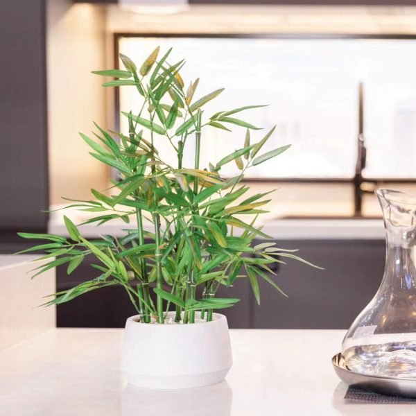 18 inch Tall White Potted Faux Bamboo Plant- Luxury Artificial Bamboo Tree in White Pot for Home, Office, Kitchen, Counter Top, Indoor Decor, Money Tree, Lucky Bamboo Tree.