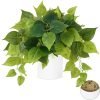 Faux Plants Indoor with Plastic Pots, Realistic Small Fake Plants, Fake Plants with Pothos, Fake Potted Plants, Artificial Plant for Home Shelf Bathroom Kitchen Office Indoor Outdoor Decor