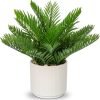 Faux Plant Indoor in Ceramic Pot 13" Artificial Potted Fern Fake House Plants for Desk Office Bathroom Garden Decoration
