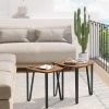 Nesting Coffee Tables, End Tables Set of 2 for Living Room Bedroom, Industrial Small Stacking Side Tables with Metal Frame for Couch, Rustic Brown and Black ULET013B01