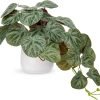 81SB0Z26W3L._AC_SL1500 Fake Plants Indoor 8 Inch Artificial Monstera Leaves in Ceramic Pot - Faux Potted Tropical Palm Plant for Home Aesthetic Decor Living Room Shelf Office