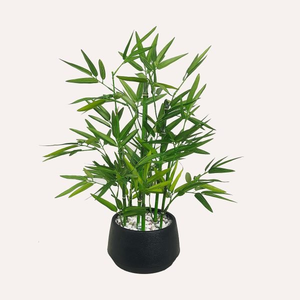 18 inch Tall White Potted Faux Bamboo Plant- Luxury Artificial Bamboo Tree in White Pot for Home, Office, Kitchen, Counter Top, Indoor Decor, Money Tree, Lucky Bamboo Tree.