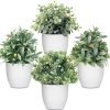 81_rs5RTTRL._AC_SL1500 rtificial Potted Plants Mini Fake Plants in Pots, 4 Pack Medium Eucalyptus Potted Faux Decorative Grass Plant with White Plastic Pot for Home Decor, Indoor, Office, Desk, Table Decoration