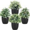 81tAPHT4LsL._AC_SL1500 rtificial Potted Plants Mini Fake Plants in Pots, 4 Pack Medium Eucalyptus Potted Faux Decorative Grass Plant with White Plastic Pot for Home Decor, Indoor, Office, Desk, Table Decoration