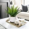 Faux Plant Indoor in Ceramic Pot 13" Artificial Potted Fern Fake House Plants for Desk Office Bathroom Garden Decoration